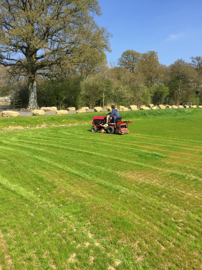 green project grass cutting